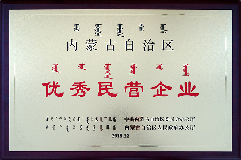 2018年12月被自治區評為優(yōu)秀民營(yíng)企業(yè)
