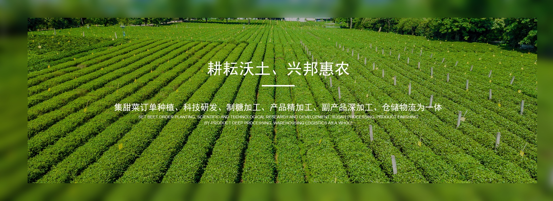 酵母廠(chǎng)家