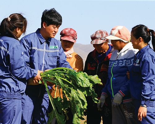 現場(chǎng)指導農戶(hù)科學(xué)種植
