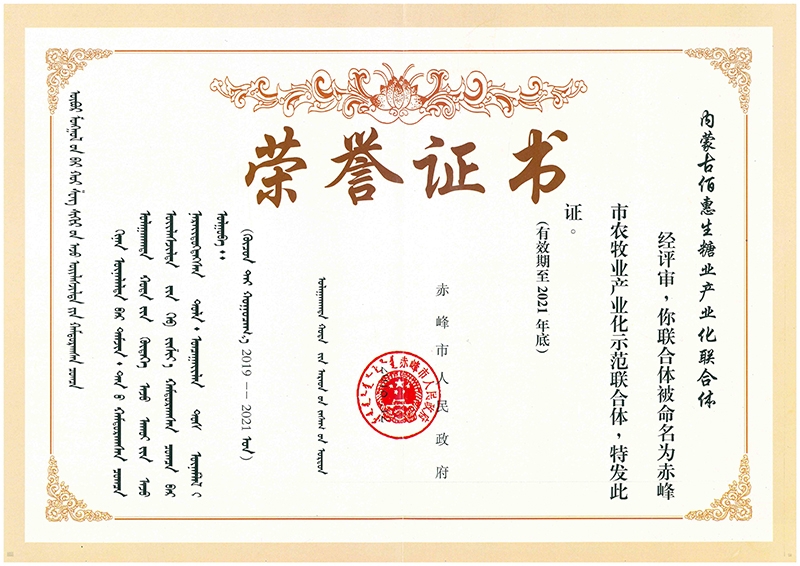 赤峰市龍頭企業(yè)