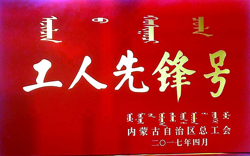 2017年4月授予佰惠生股份公司動(dòng)力車(chē)間工人先鋒號
