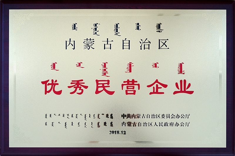2018年12月被自治區評為優(yōu)秀民營(yíng)企業(yè)
