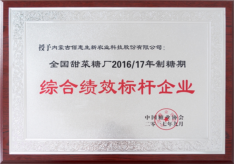 綜合績(jì)效標桿企業(yè)-(1)